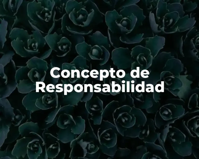 Concepto de Responsabilidad