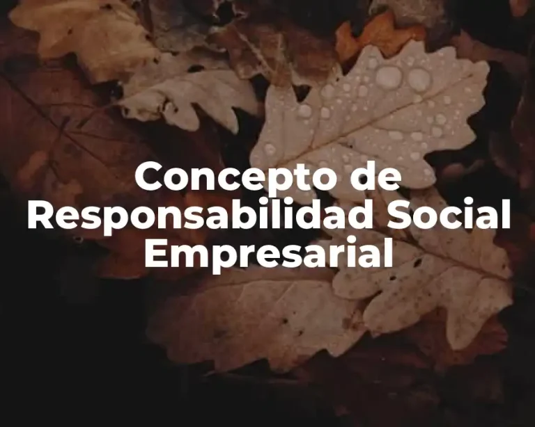 Concepto de Responsabilidad Social Empresarial