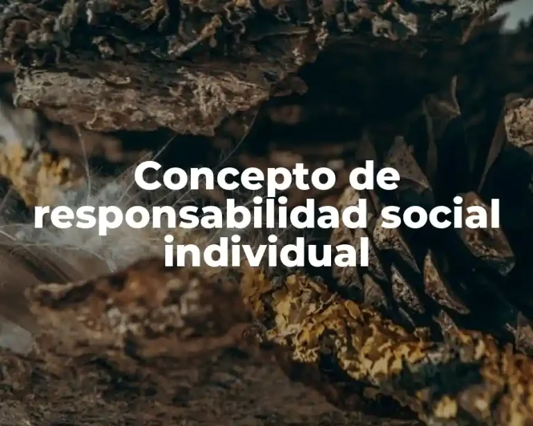 Concepto de responsabilidad social individual