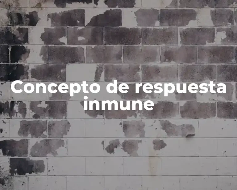 Concepto de respuesta inmune