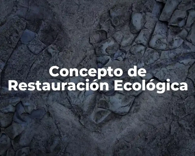 Concepto de Restauración Ecológica