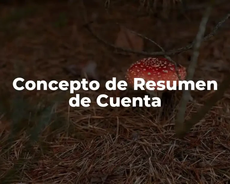 Concepto de Resumen de Cuenta