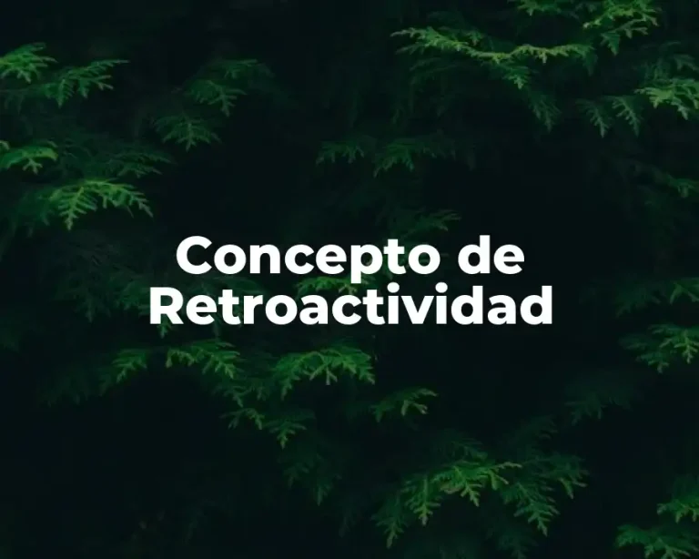 Concepto de Retroactividad