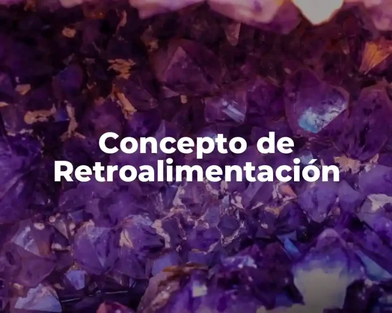 Concepto de Retroalimentación