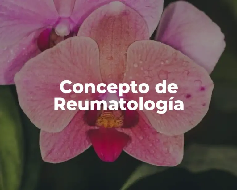 Concepto de Reumatología