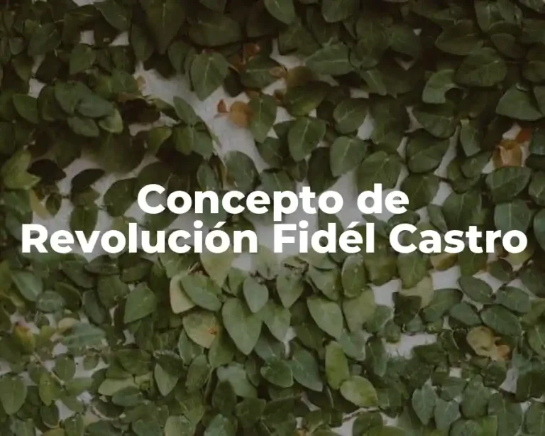 Concepto de Revolución Fidél Castro