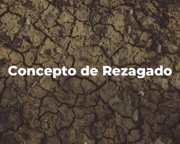 Concepto de Rezagado