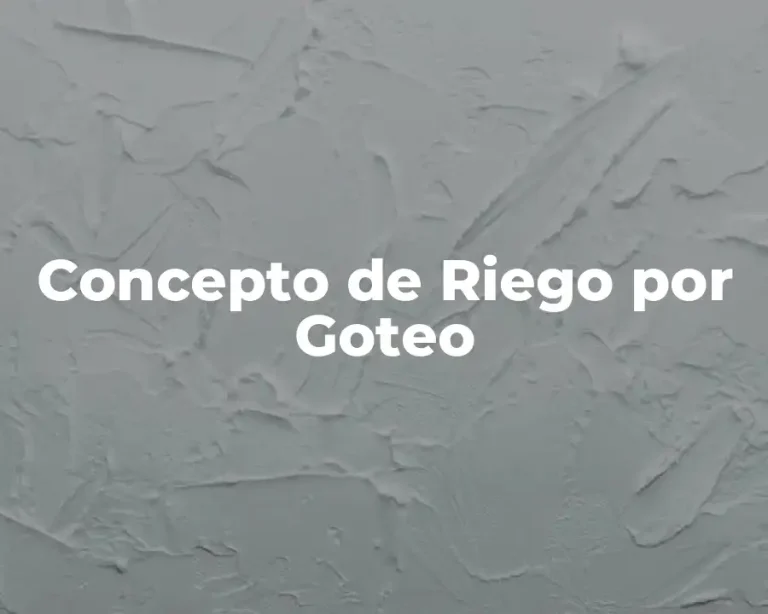 Concepto de Riego por Goteo