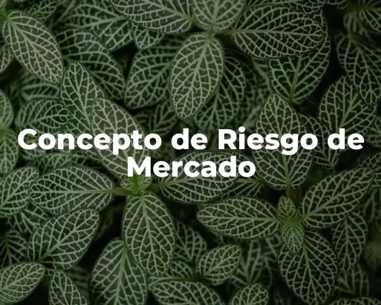 Concepto de Riesgo de Mercado