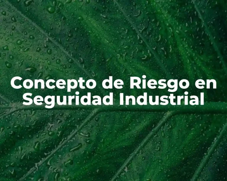 Concepto de Riesgo en Seguridad Industrial