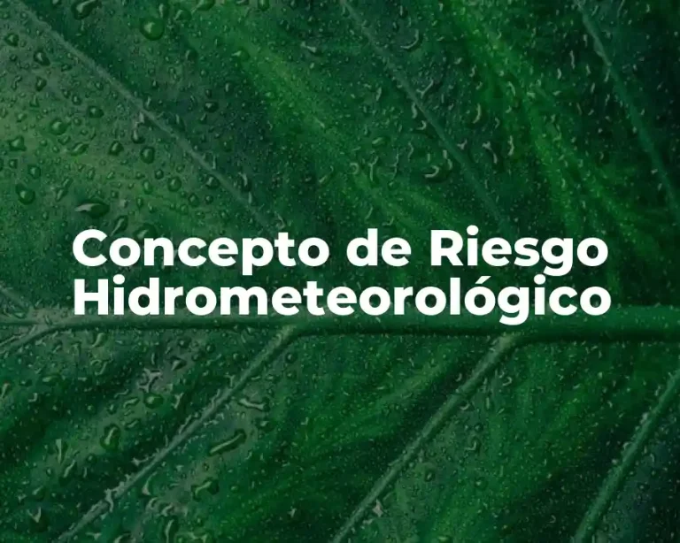 Concepto de Riesgo Hidrometeorológico