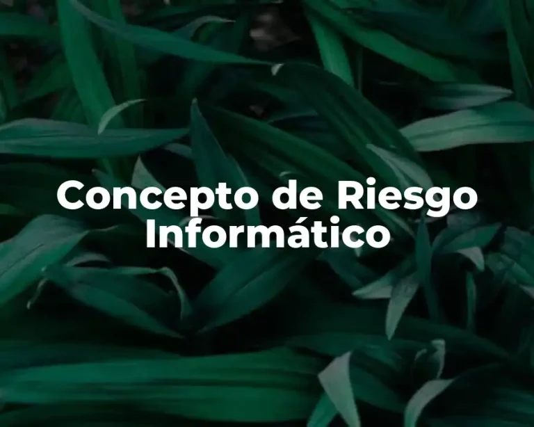 Concepto de Riesgo Informático