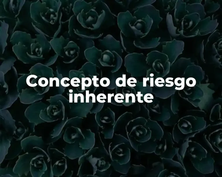 Concepto de riesgo inherente
