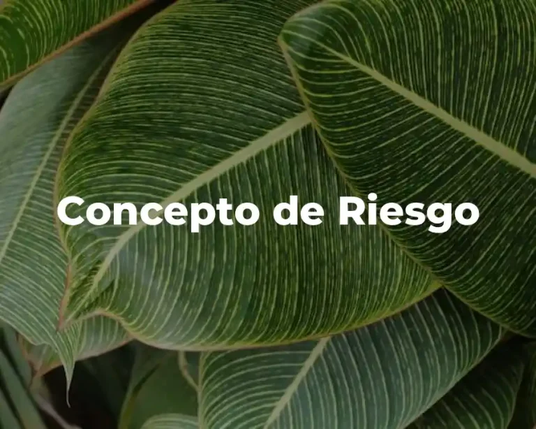 Concepto de Riesgo