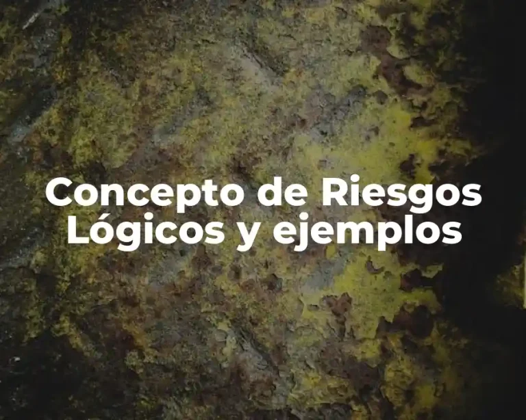 Concepto de Riesgos Lógicos y ejemplos
