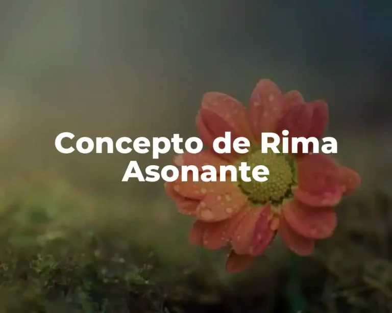 Concepto de Rima Asonante