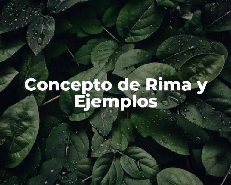 Concepto de Rima y Ejemplos