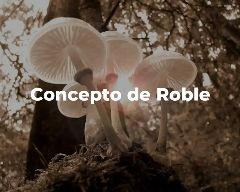 Concepto de Roble