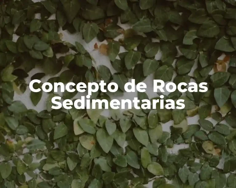 Concepto de Rocas Sedimentarias