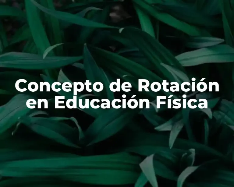 Concepto de Rotación en Educación Física