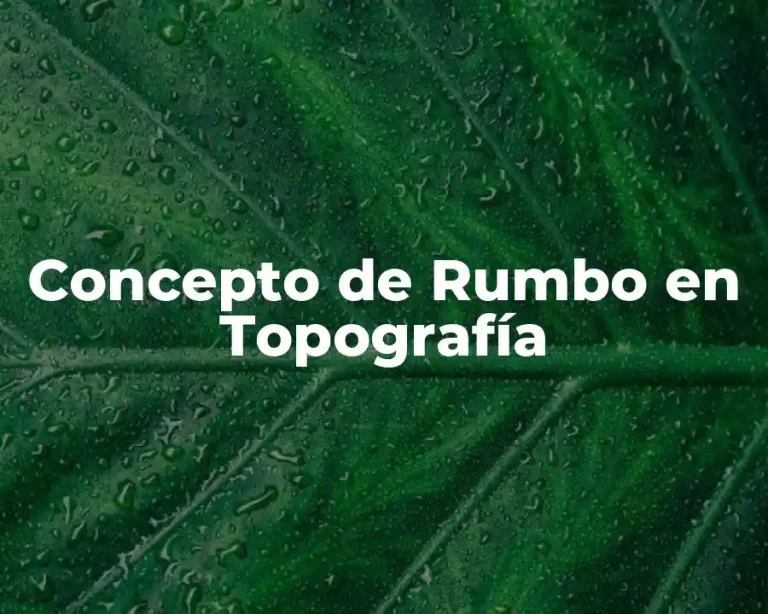 Concepto de Rumbo en Topografía