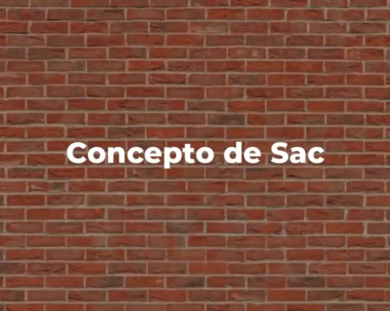 Concepto de Sac