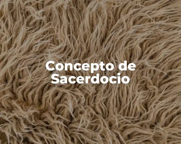 Concepto de Sacerdocio