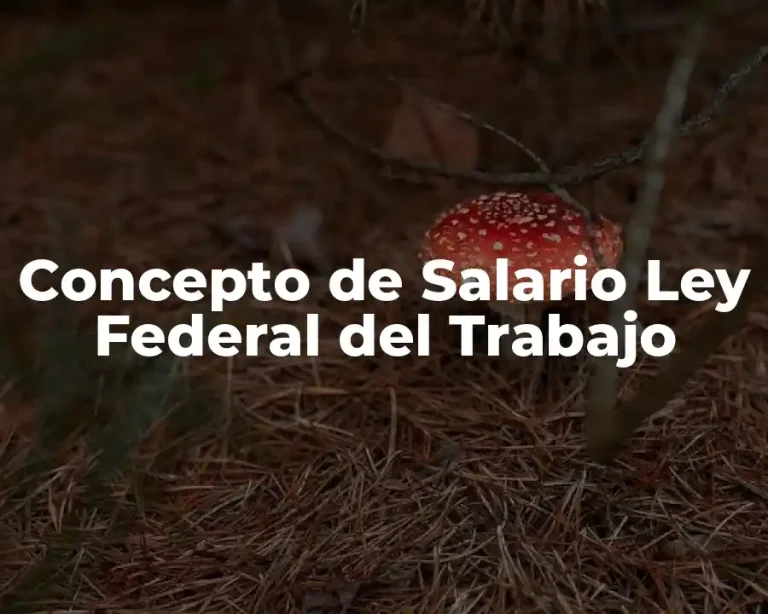 Concepto de Salario Ley Federal del Trabajo