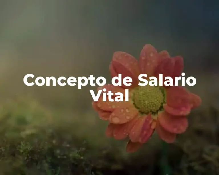 Concepto de Salario Vital