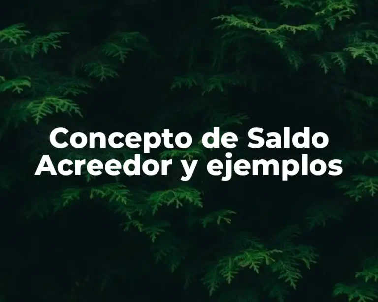 Concepto de Saldo Acreedor y ejemplos
