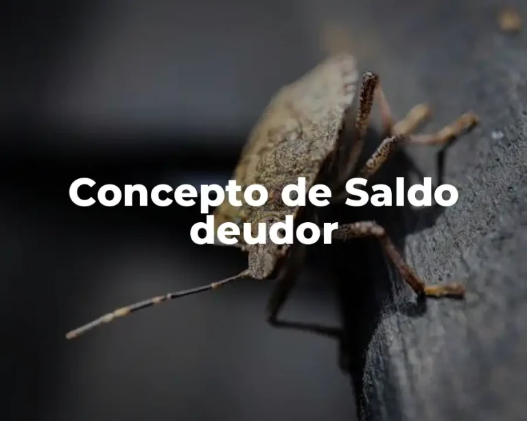Concepto de Saldo deudor