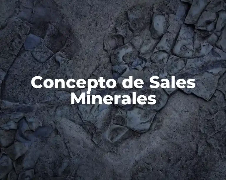 Concepto de Sales Minerales