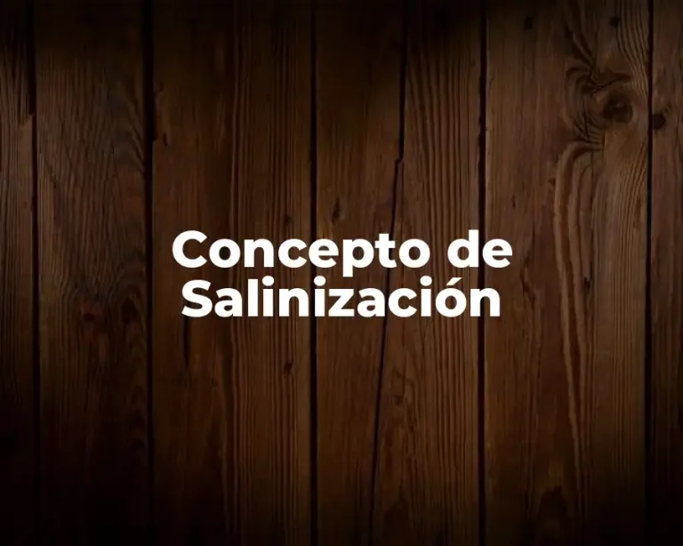 Concepto de Salinización