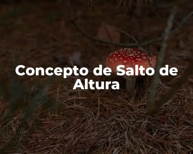 Concepto de Salto de Altura