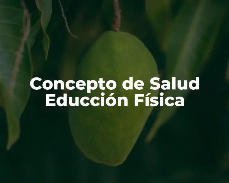 Concepto de Salud Educción Física