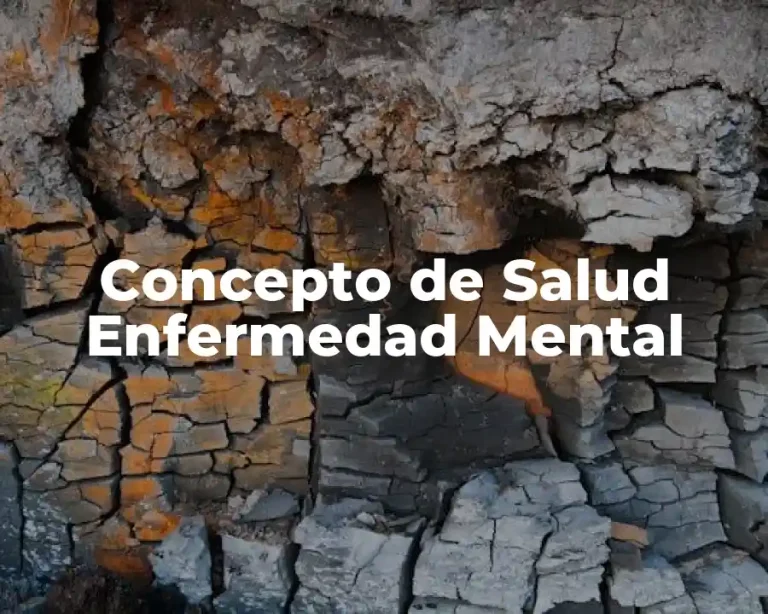 Concepto de Salud Enfermedad Mental