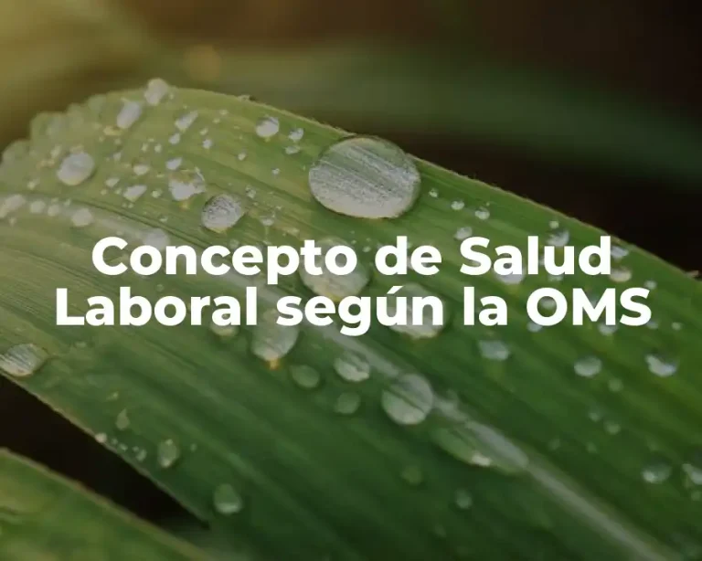 Concepto de Salud Laboral según la OMS