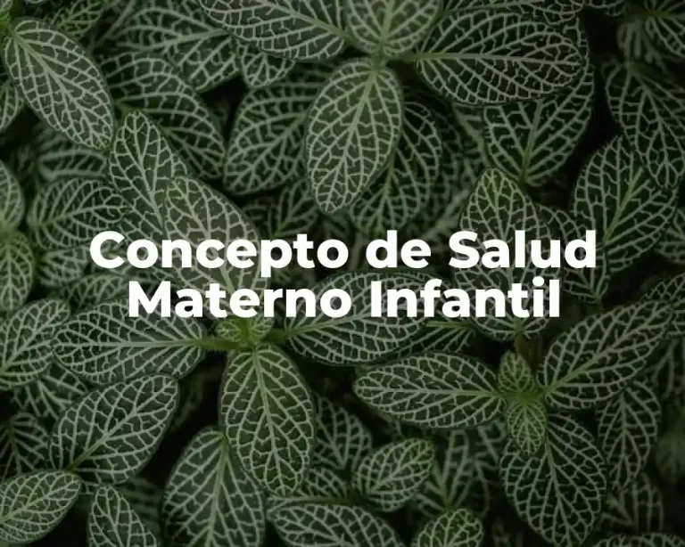 Concepto de Salud Materno Infantil