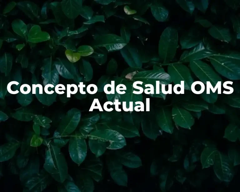 Concepto de Salud OMS Actual