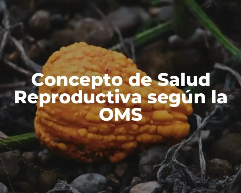 Concepto de Salud Reproductiva según la OMS