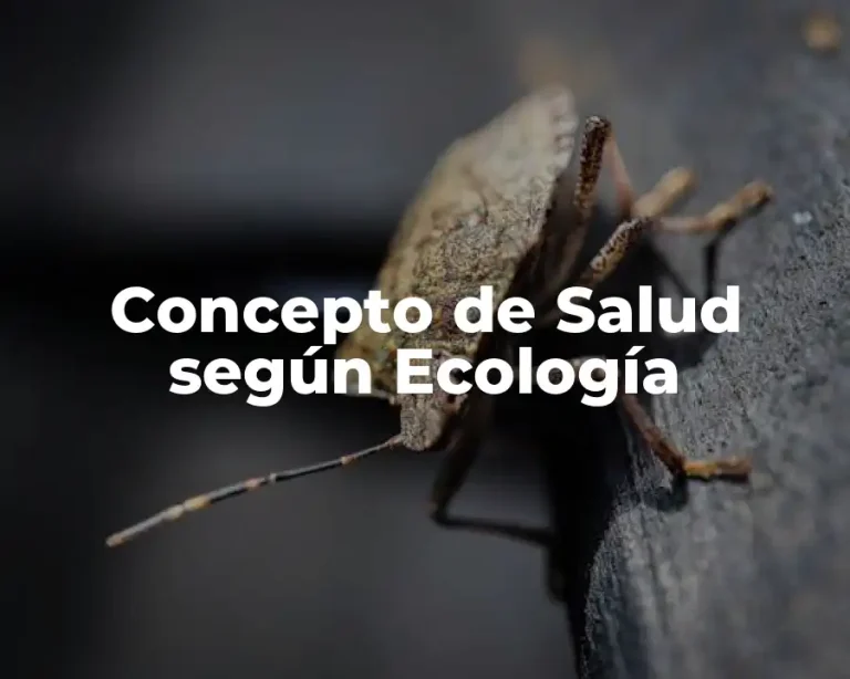 Concepto de Salud según Ecología