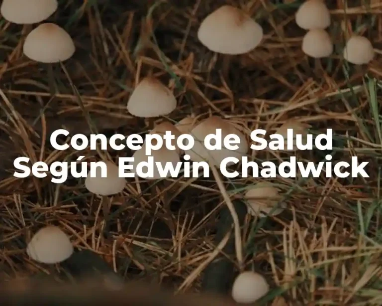 Concepto de Salud Según Edwin Chadwick