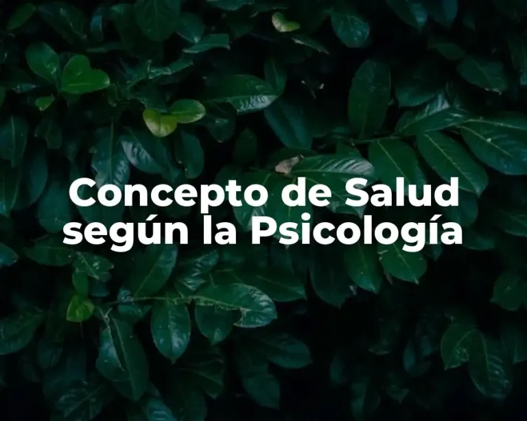 Concepto de Salud según la Psicología