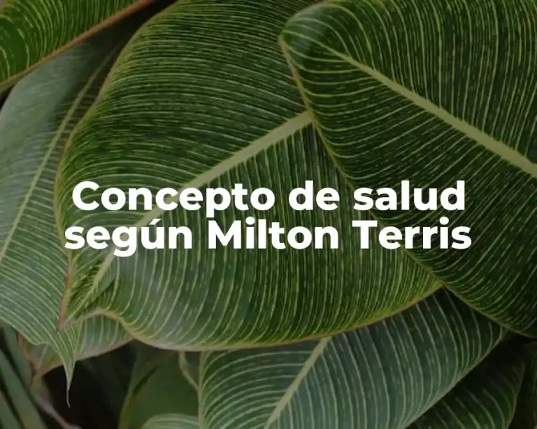 Concepto de salud según Milton Terris