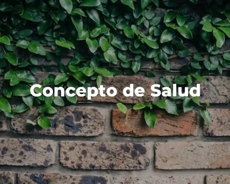 Concepto de Salud