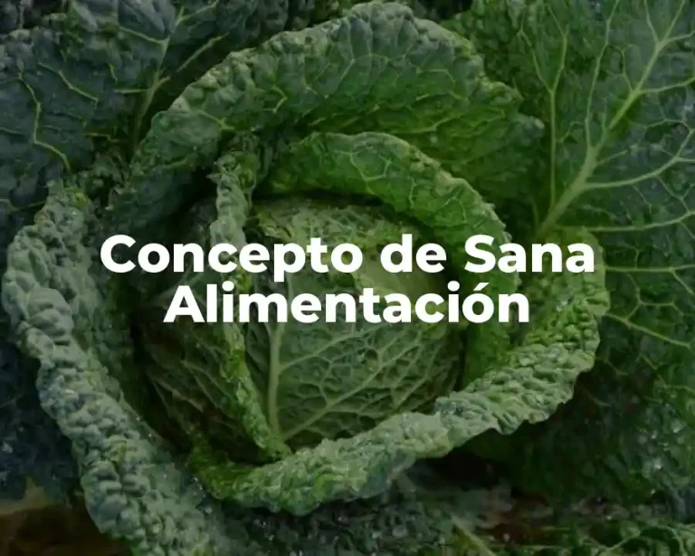 Concepto de Sana Alimentación