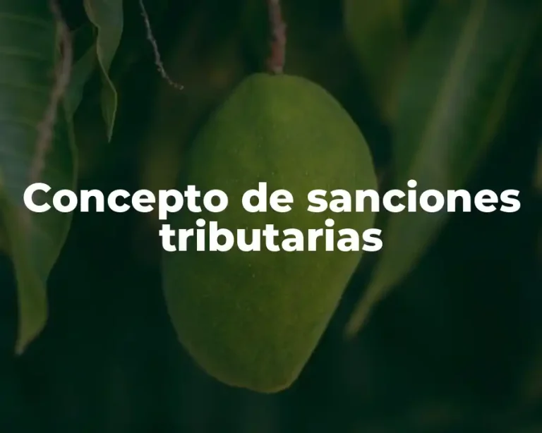 Concepto de sanciones tributarias