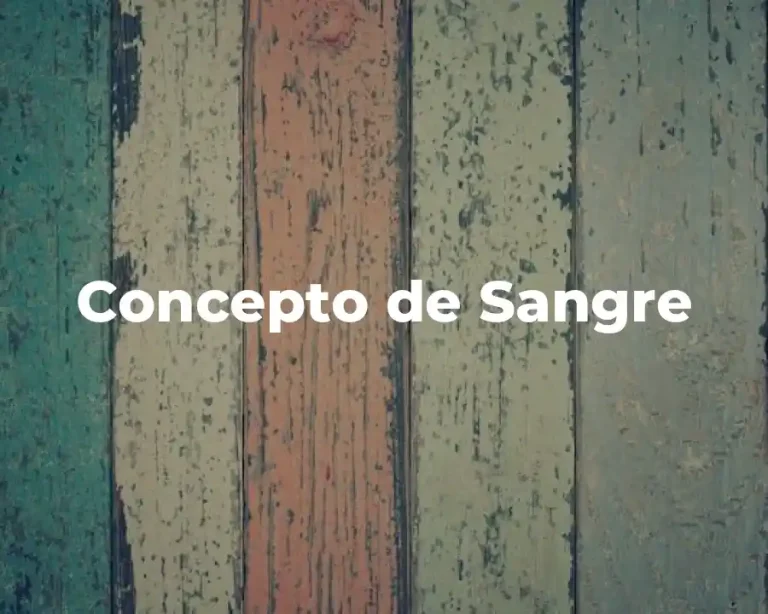 Concepto de Sangre