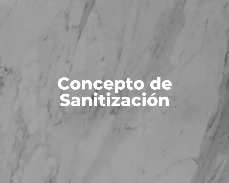 Concepto de Sanitización