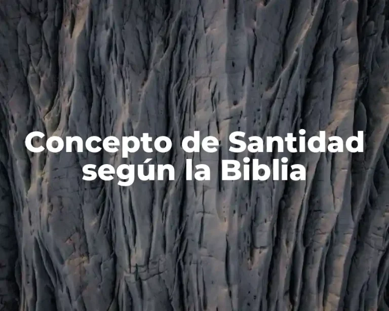 Concepto de Santidad según la Biblia